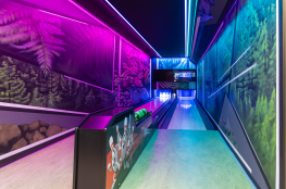 Muszyna Atrakcja Kręgielnia KRĘGIELNIA Muszyna 